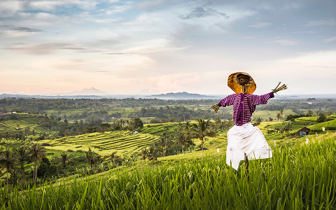 indonesia gallery 2