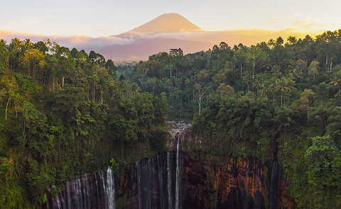 indonesia gallery 4