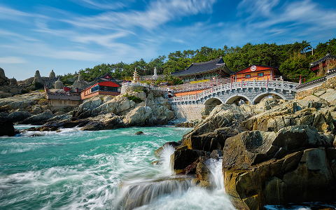 korea gallery 5