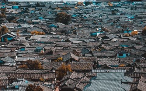 korea gallery 4