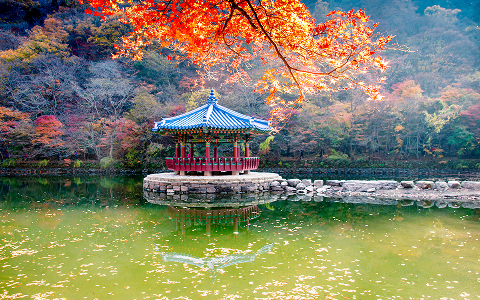 korea gallery 1