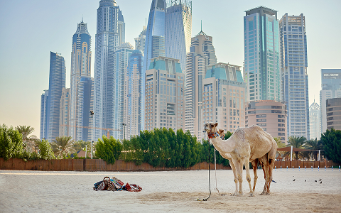 uae gallery 2