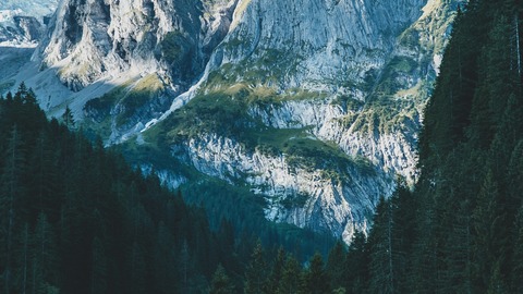 swiss gallery 2