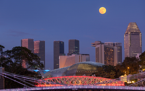 singapore gallery 2